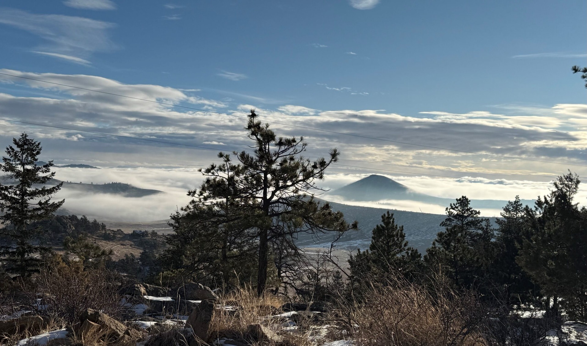 Morning fog filling the valleys below ponderosa pines
