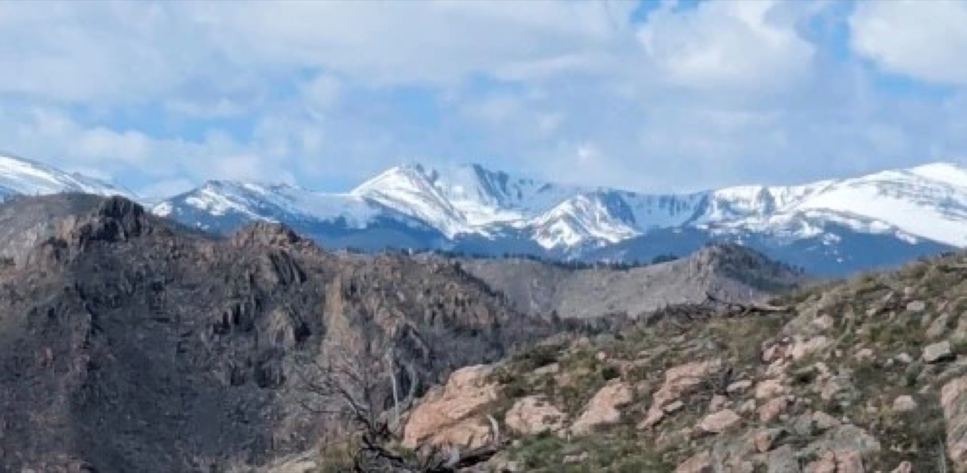 Snow-capped peaks of the Mummy Range seen across granite ridges from Glacier View Meadows